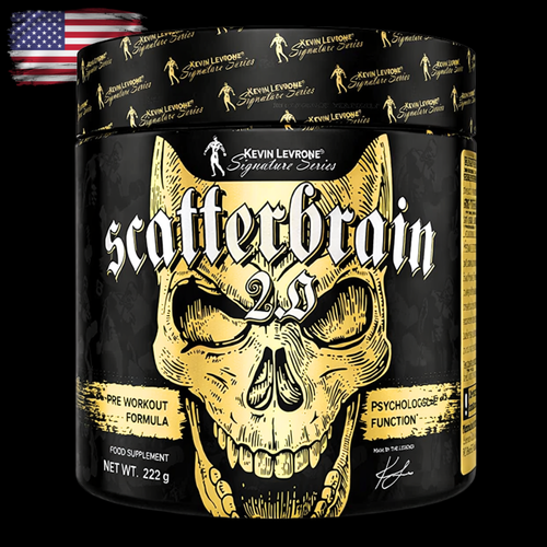 US SCATTERBRAIN
